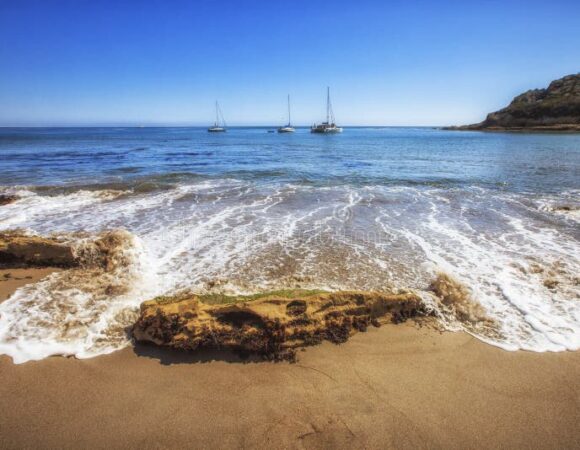 Pirates' Cove 